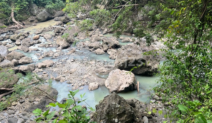Tanah Zona Kuning Los Sungai Jungle
