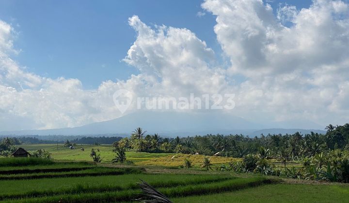 Tanah Luasan Kecil View Sawah Dan Gunung Cocok Untuk Hunian Di Tabanan Bali
