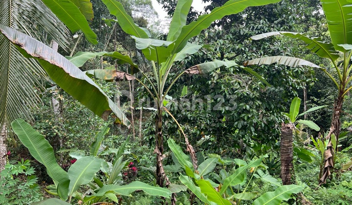 Small Land Area Suitable for Residential House Small Land Area Suitable for Residential House