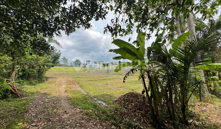 Di Jual Tanah Dekat Pantai View Sawah Buc Di Jual Tanah Dekat Pantai View Sawah Buc