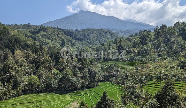 Tanah View Gunung Sawah dan Jungle di Tabanan Cocok untuk Villa