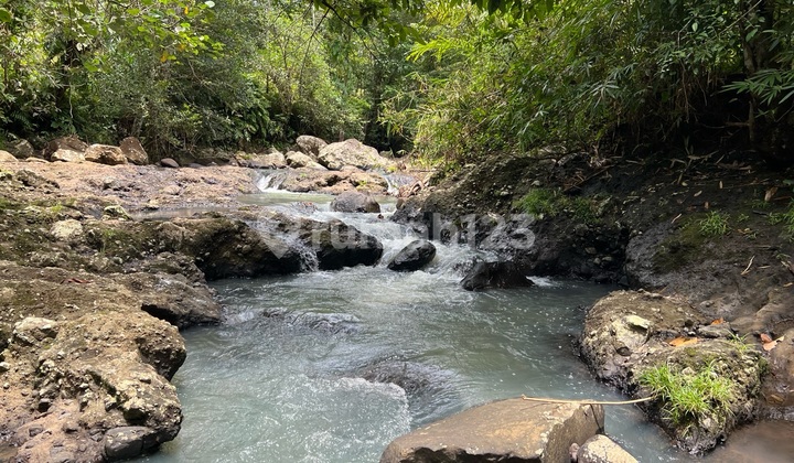 Yellow Zone Land with Jungle View by the River in Tabanan, Bali