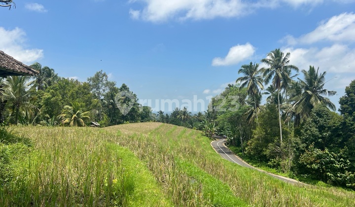 Tanah View Sawah Gunung Dan Laut Di Tabanan 