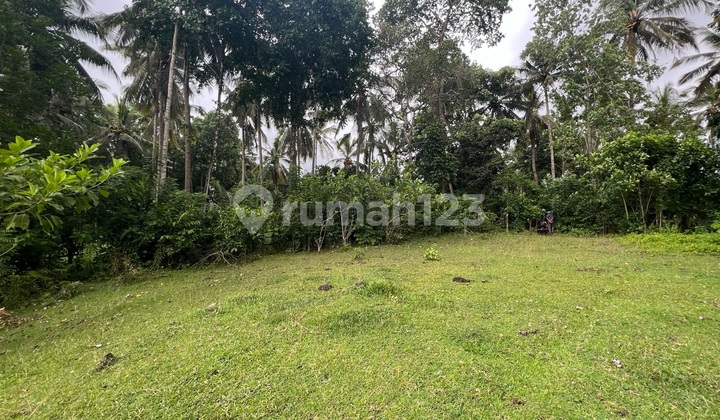 Tanah Zona Kuning Cocok untuk Rumah Tinggal atau Villa