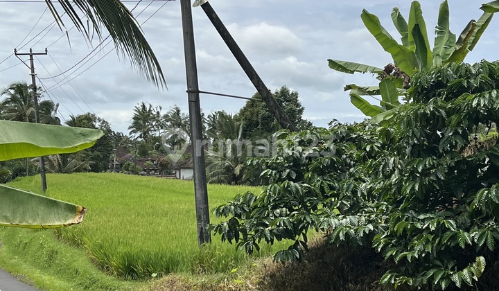 Tanah Luasan Kecil View Sawah Cocok untuk Rumah Tinggal