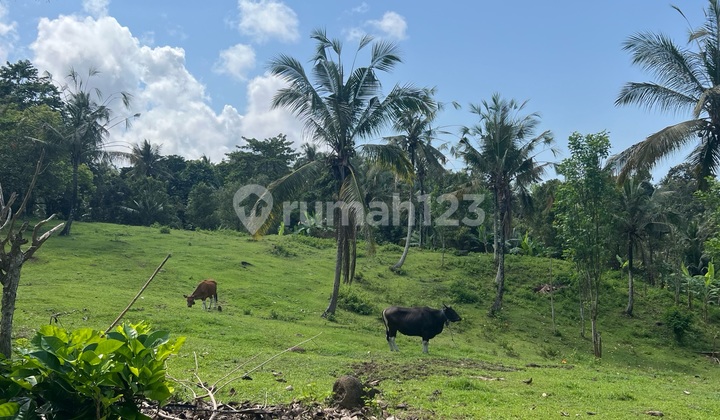 Tanah Dekat Pantai Balian Beach Tabanan Cocok Untuk Villa