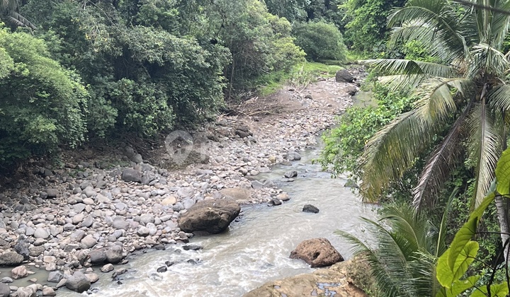 Tanah View Jungle Dan Sungai Murah Di Tabanan Bali Tanah View Jungle Dan Sungai Murah Di Tabanan Bali