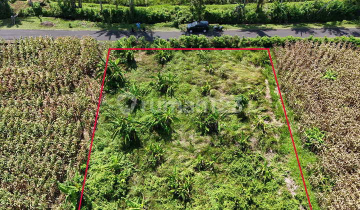 Tanah Dekat Pantai Zona Kuning Siap Bangun