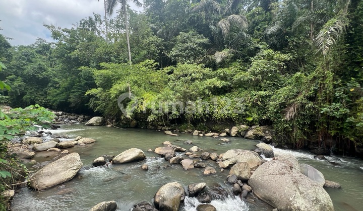 Tanah View Cantik Los Sungai di Tabanan Bali Cocok untuk Villa