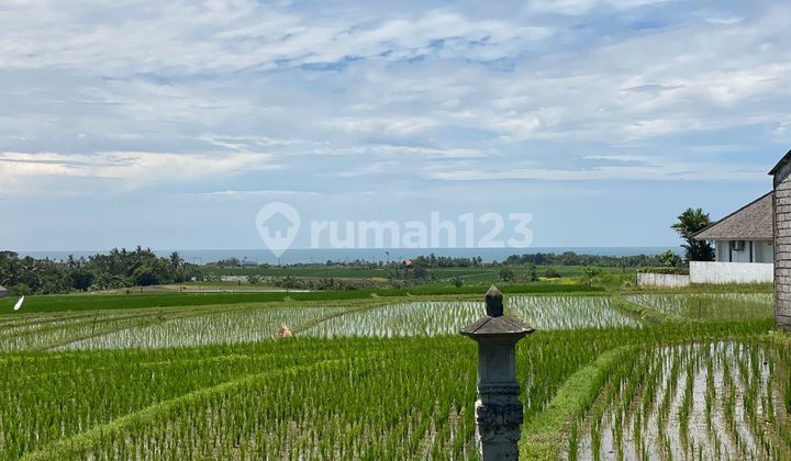 Tanah Zona Pariwisata Dekat Pantai View Sawah ,Gunung dan Laut