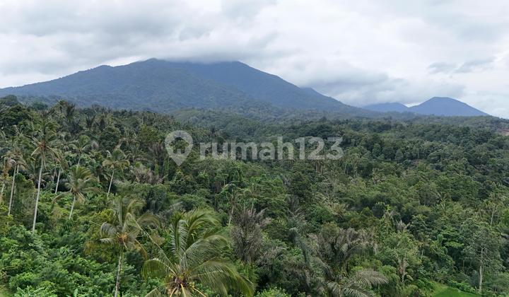 Cheap Land in Tabanan Bali Mountain View River Jungle