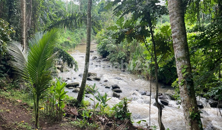 Land in Tabanan Bali by the River Suitable for Residential Use