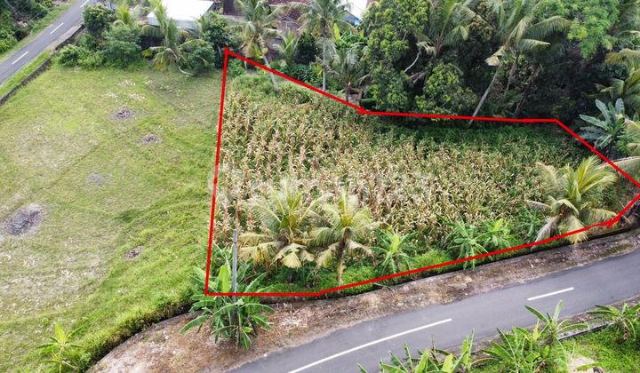 Di Jual Tanah Murah Kawasan Villa Dekat Pantai Di Beraban Tabanan Bali Di Jual Tanah Murah Kawasan Villa Dekat Pantai Di Beraban Tabanan Bali