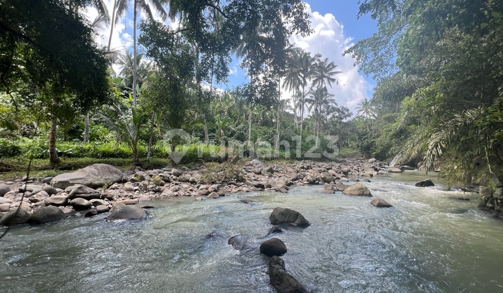 Cheap Land In Tabanan Bali River View Jungle Plots