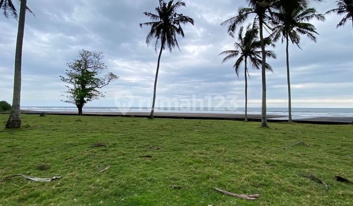 Di Jual Beachfront Murah Di Tabanan Bali Di Jual Beachfront Murah Di Tabanan Bali