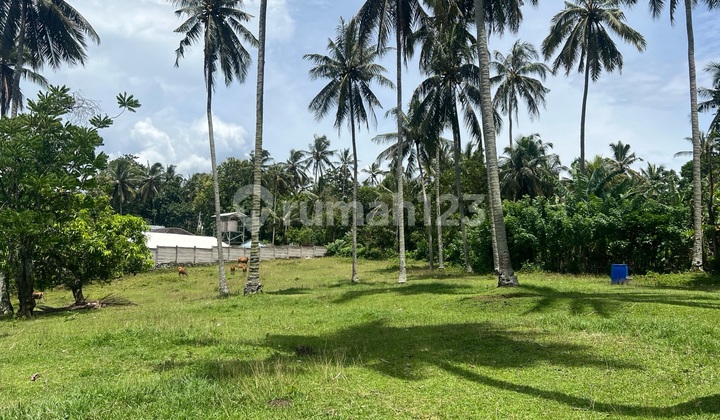 Tanah Murah di Kawasan Industri Sedang Berkembang