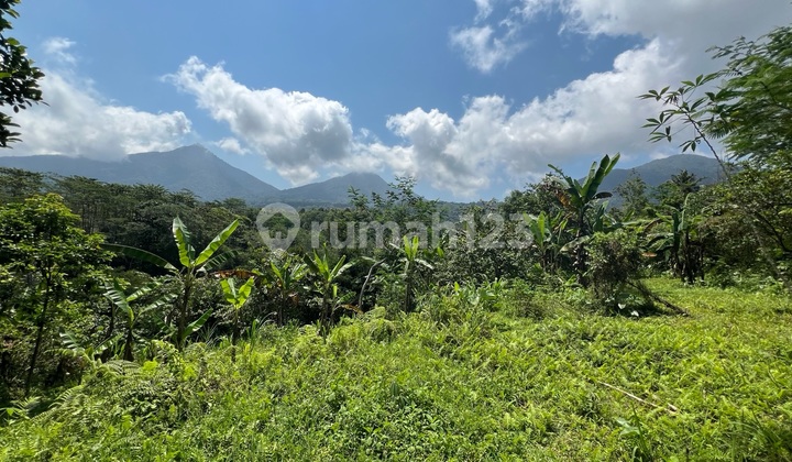 Tanah Dengan View Gunung Sawah Dan Jungle