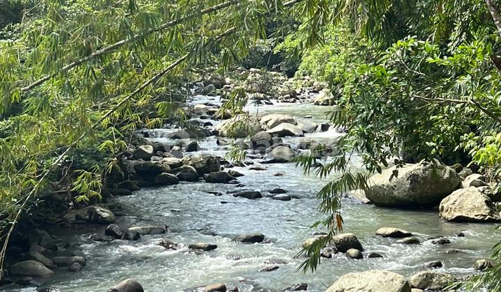 The land by the river is very beautiful in Tabanan, Bali, suitable for a villa. The land by the river is very beautiful in Tabanan, Bali, suitable for a villa.