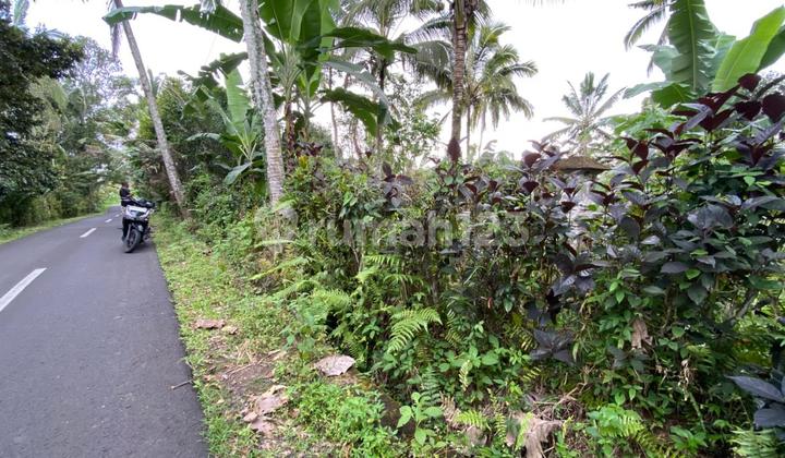 Tanah Luasan Kecil Cocok Untuk Hunian Di Tabanan Bali