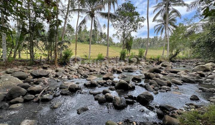 Land Plot with River View and Terraced Rice Fields in Tabanan, Bali