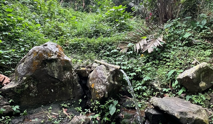 Tanah Dengan Sumber Mata Air Jernih Di Tabanan Bali 