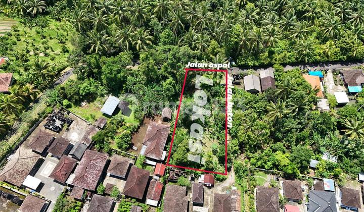 Tanah Luasan Kecil Zona Kuning Di Tabanan Bali