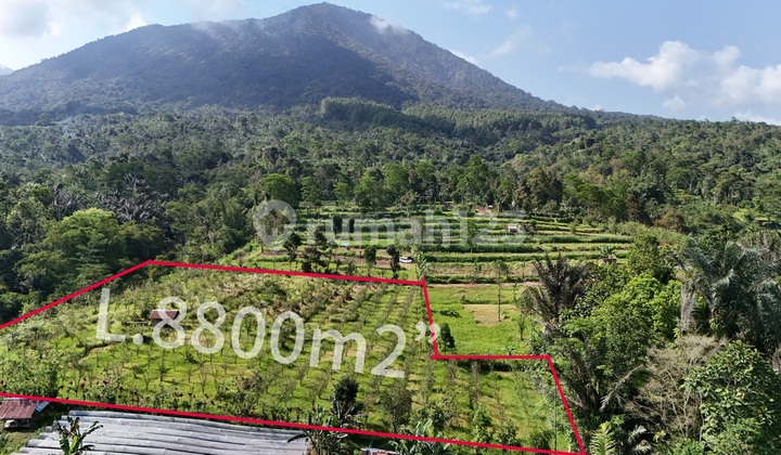 Tanah Dengan View Gunung Cocok Untuk Glamping Atau Villa Tanah Dengan View Gunung Cocok Untuk Glamping Atau Villa