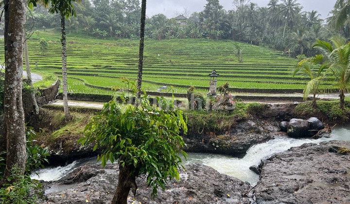Di Jual Tanah Sudah Ada Bagunan Zona Kuning View Sawah Dan Sungai Di Tabanan Bali Di Jual Tanah Sudah Ada Bagunan Zona Kuning View Sawah Dan Sungai Di Tabanan Bali