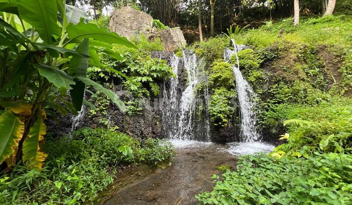 Tanah Dengan Sumber Mata Air Di Tabanan Bali Tanah Dengan Sumber Mata Air Di Tabanan Bali