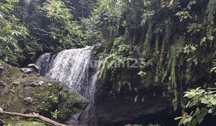 Buc Tanah Di Tabanan Bali View Air Terjun 
