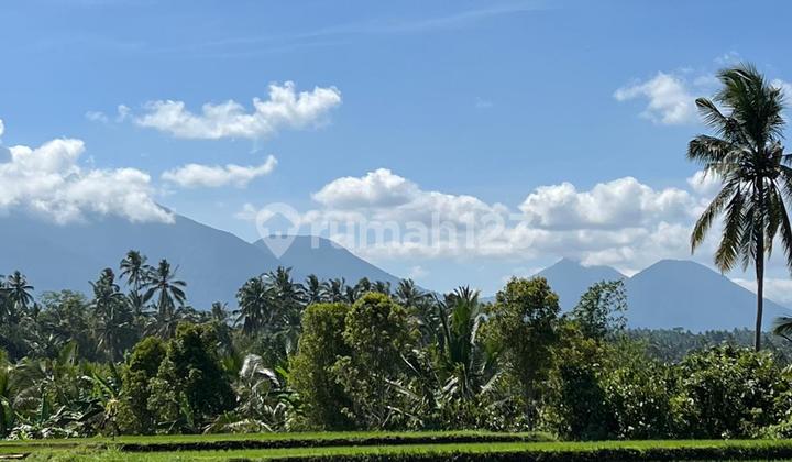 Tanah Sawah Dan Kebun View Gunung .laut Dan Sawah Di Tabanan Bali Tanah Sawah Dan Kebun View Gunung .laut Dan Sawah Di Tabanan Bali