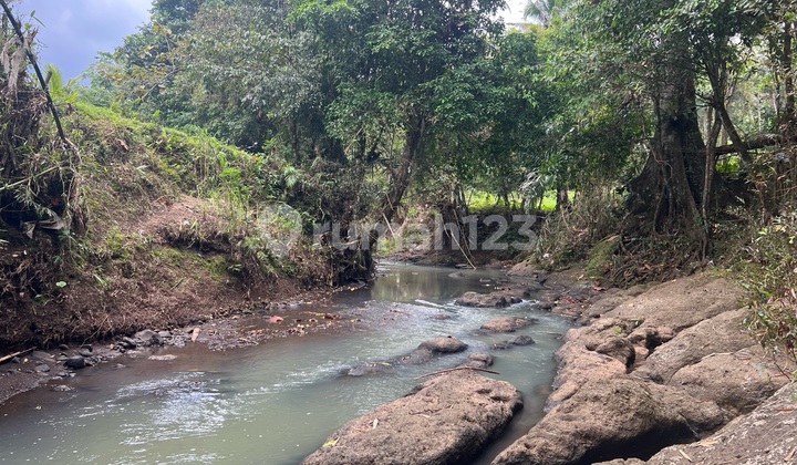 Tanah Kebun Los Sungai View Sawah Cocok Untuk Villa Atau Hunian Pribadi