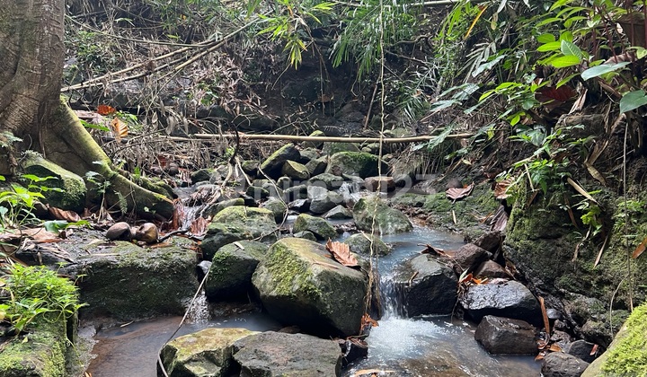 Cheap Land With Jungle River View in Tabanan Bali