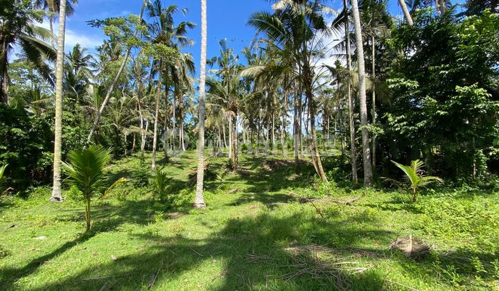 Tanah Zona Kuning Dekat Pantai Cocok untuk Kavlingan atau Villa Komersil