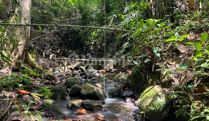 Cheap Land With Jungle River View in Tabanan Bali