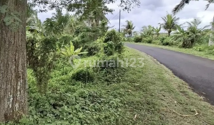 Land Near Beach Villa Area In Tabanan Bali