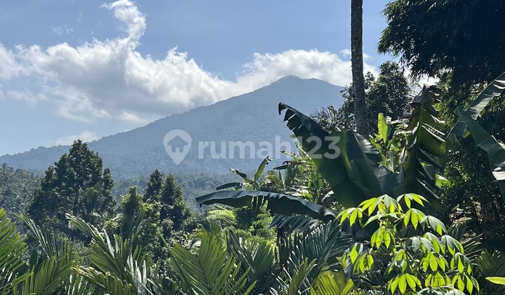 Tanah Murah Di Tabanan Bali View Abadi Sawah Dan Gunung