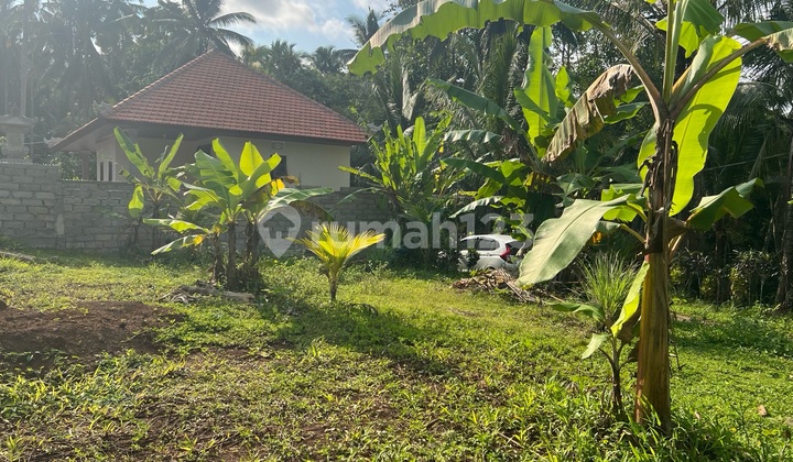 Small Land Area in Yellow Zone Suitable for Residence Small Land Area in Yellow Zone Suitable for Residence