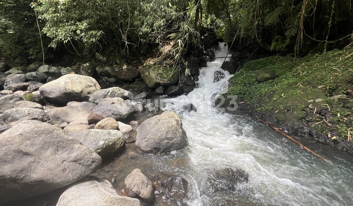 Land with a View of a Beautiful Waterfall in Tabanan, Bali Land with a View of a Beautiful Waterfall in Tabanan, Bali