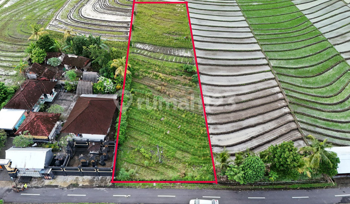 Tanah Zona Kuning Dekat Pantai Di Tabanan Tanah Zona Kuning Dekat Pantai Di Tabanan