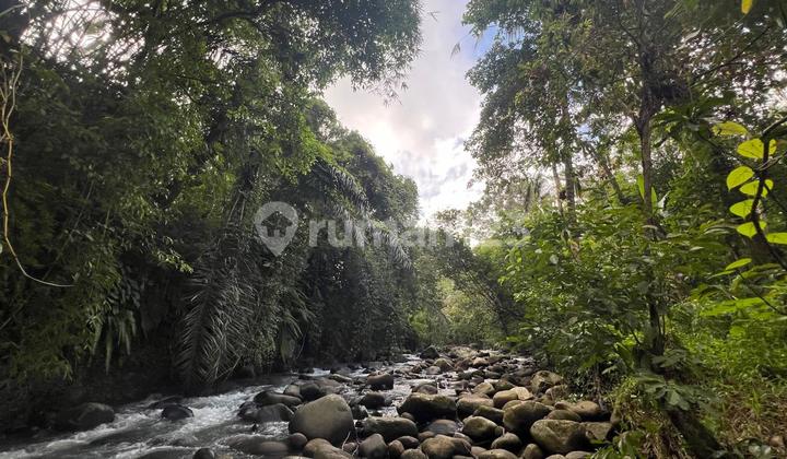 Los River Jungle Land in Tabanan Bali