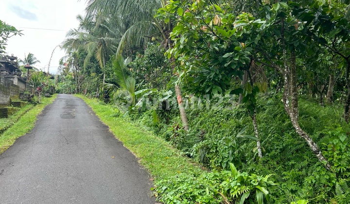 Tanah Zona Kuning Luasan Kecil Cocok untuk Rumah Tinggal Tanah Zona Kuning Luasan Kecil Cocok untuk Rumah Tinggal