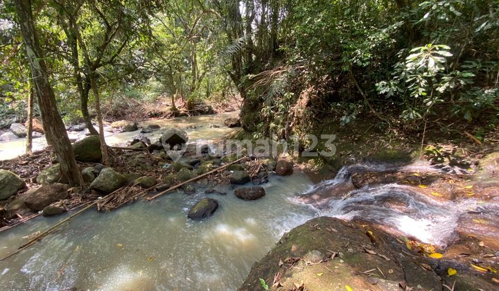 Tanah Dengan View Jungle Los Sungai Di Tabanan Bali 