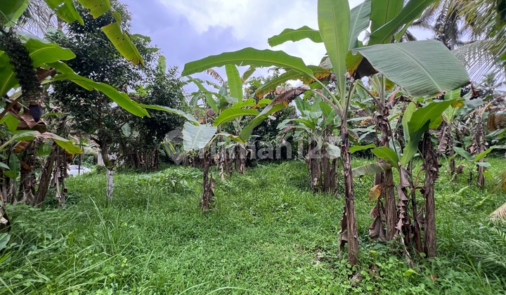 Yellow Zone Land Suitable for Villa or Single House Yellow Zone Land Suitable for Villa or Single House