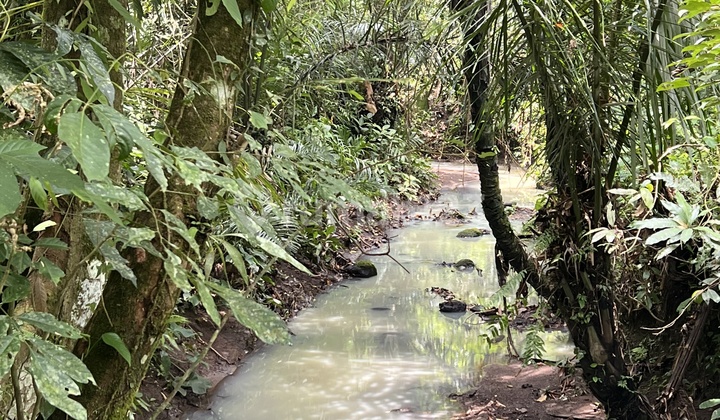 Tanah Datar Luasan Kecil Cocok Untuk Rumah Tinggal 