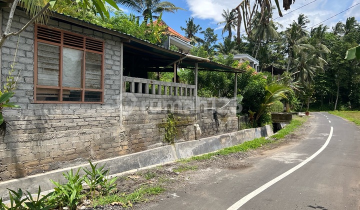 Buc Tanah Zona Kuning View Sawah Buc Tanah Zona Kuning View Sawah