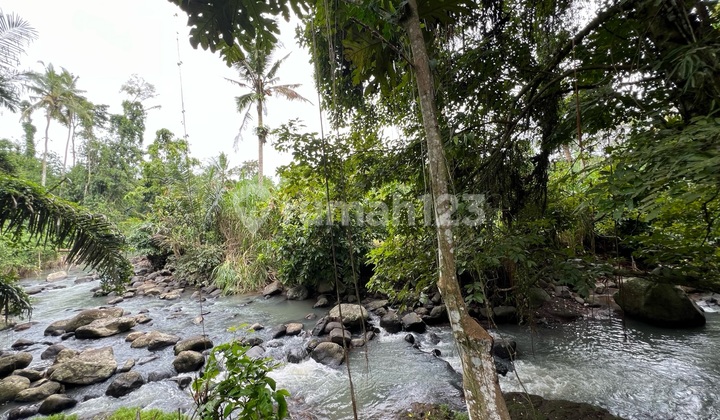 Tanah Luasan Kecil dengan View Jungle Los Sungai Cantik di Tabanan Bali
