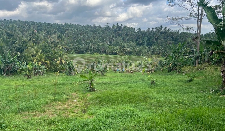 Tanah Murah Di Tabanan Bali Dengan View Sawah Dan Panorama