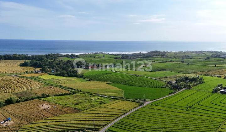 Land Near Beach Tourism Zone In Tabanan Bali