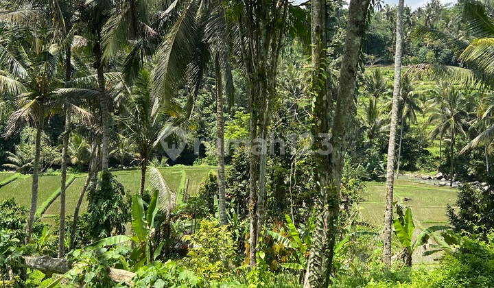 Tanah Dengan View Sawah Terassering Dan Gunung Di Tabanan